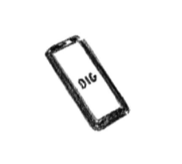 Order on the Dig website