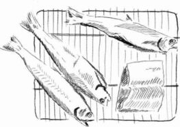 Spring menu illustration